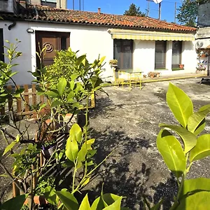 Anna's Garden , Venice Italy